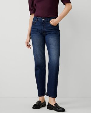 Petite Straight Jeans