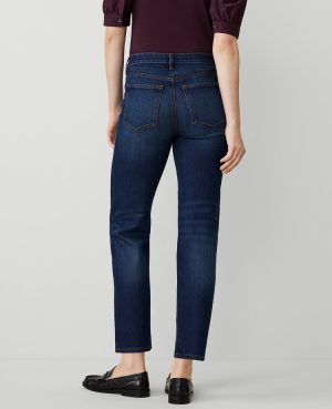 Petite Straight Jeans