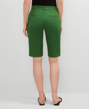 The Boardwalk Short – Curvy Fit