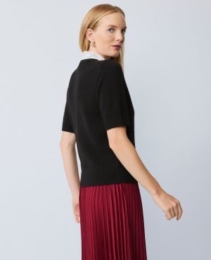 Lace Collar Sweater Tee