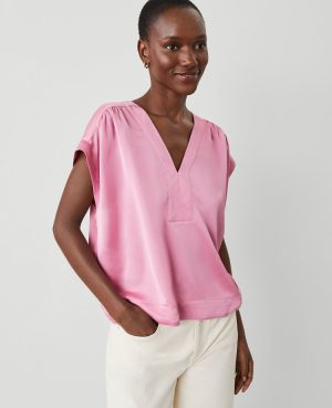 V-Neck Popover