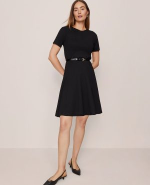 Crew Neck Belted Flare Dress