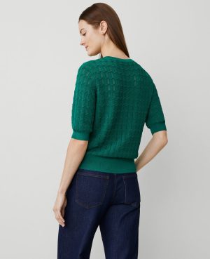 Wavy Stitch Wedge Sweater