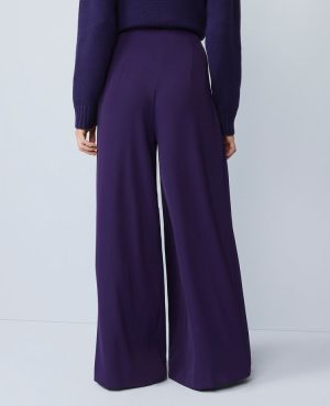 The Petite Triple Pleat Palazzo Pant