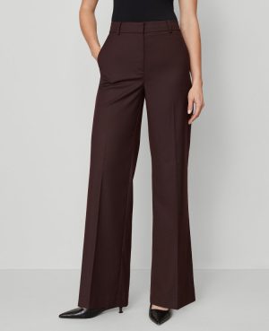 The Wide-Leg Pant