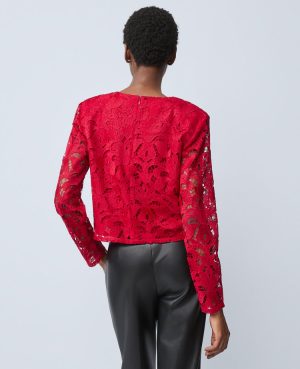 Petite Lace Crew Neck Blouse